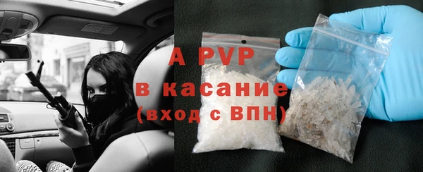 бошки Белокуриха