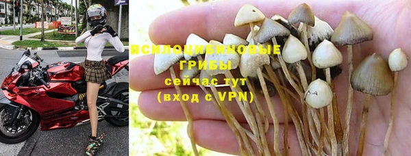 прущая мука Бородино