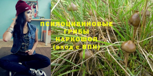 ГАЛЛЮЦИНОГЕННЫЕ ГРИБЫ Бугульма