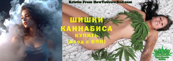 ГАЛЛЮЦИНОГЕННЫЕ ГРИБЫ Бугульма
