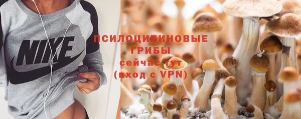 ГАЛЛЮЦИНОГЕННЫЕ ГРИБЫ Бугульма