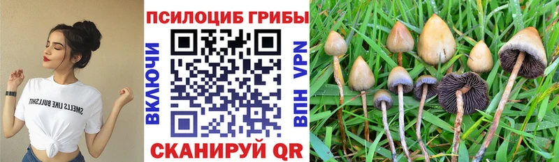 как найти закладки  Усть-Катав  Галлюциногенные грибы ЛСД 